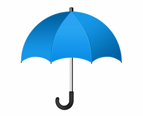 Blue Umbrella Books